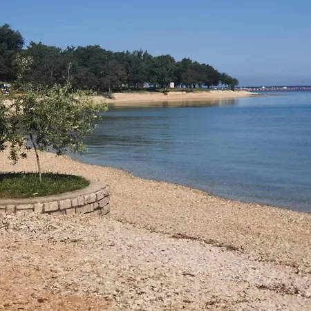Ines Porec